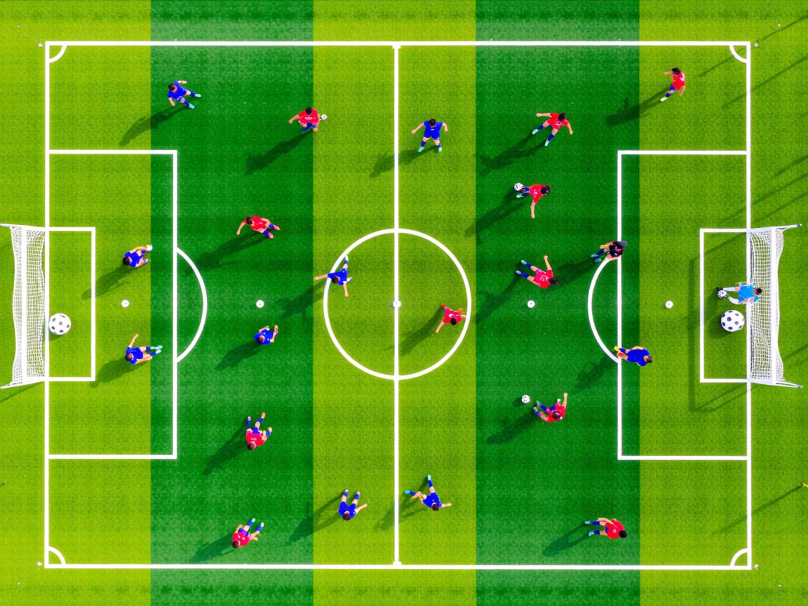 开云ky官网-体育新闻中心承办数字体育生态发展论坛，数字体育产业发展