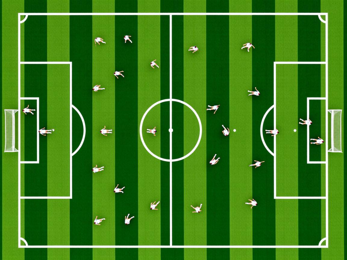 开云在线登入-体育纪录片传播体育精神，体育纪录片传播体育精神的意义  第2张